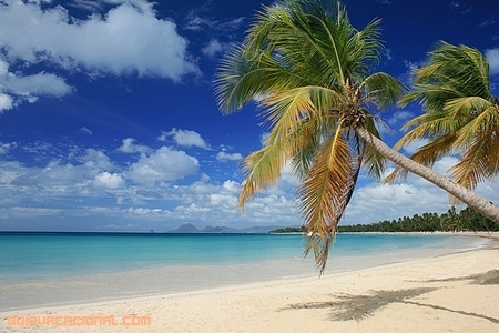 Vacaciones en las Antillas Francesas